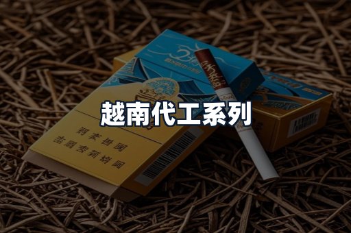 越南代工系列